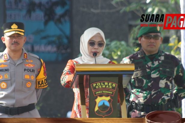 IMG 20260313 WA0039