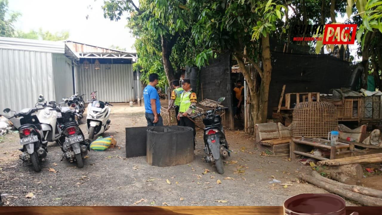 IMG 20260531 WA0353