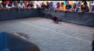 IMG 20260906 WA0011