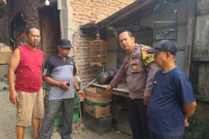 IMG 20260910 WA0296