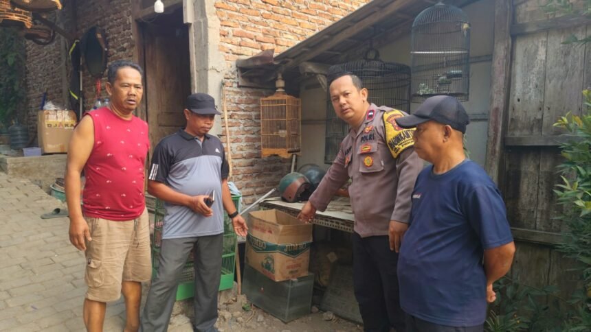 IMG 20260910 WA0296