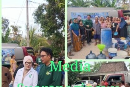 IMG 20260913 WA0793